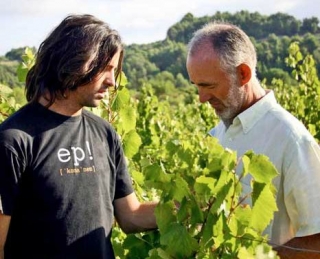 Comprobando la calidad